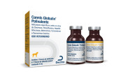 Cannis Globulin® Polivalente